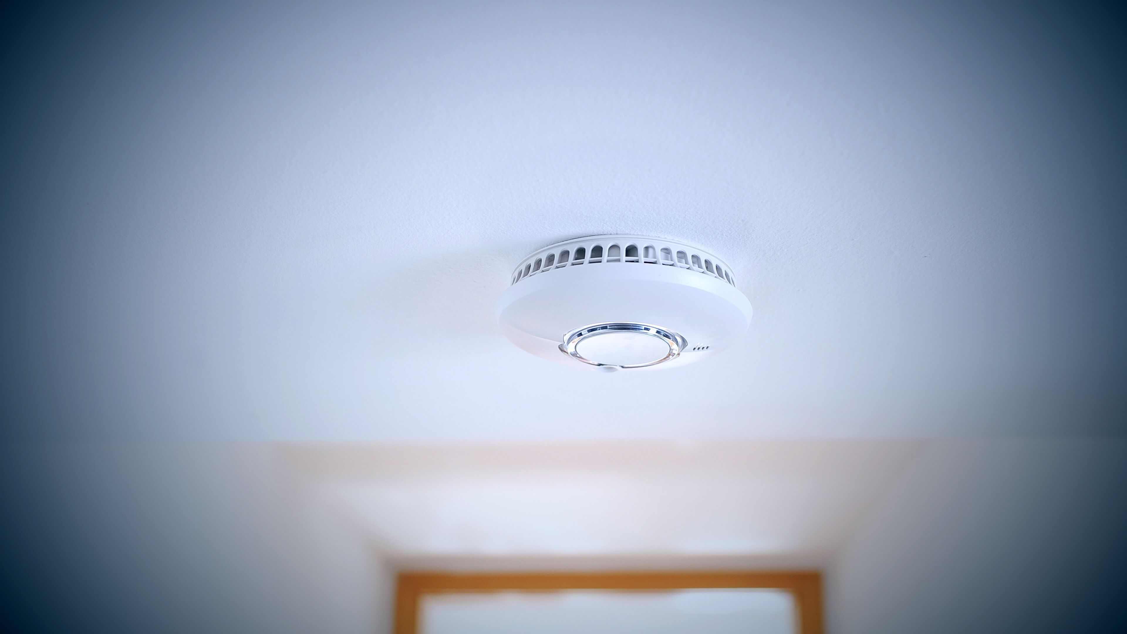 Sicherheitstechnik Elektro Stegemann GmbH